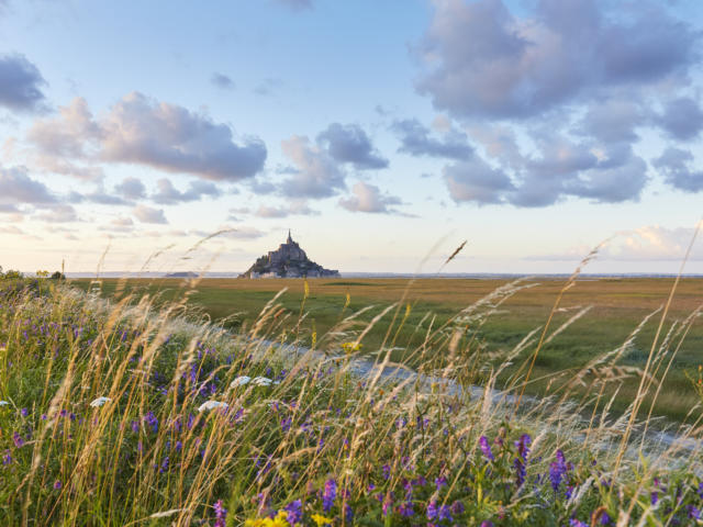 🧺 Où pique-niquer autour du Mont Saint-Michel ? Et pourquoi Lunch Box du Mont est née